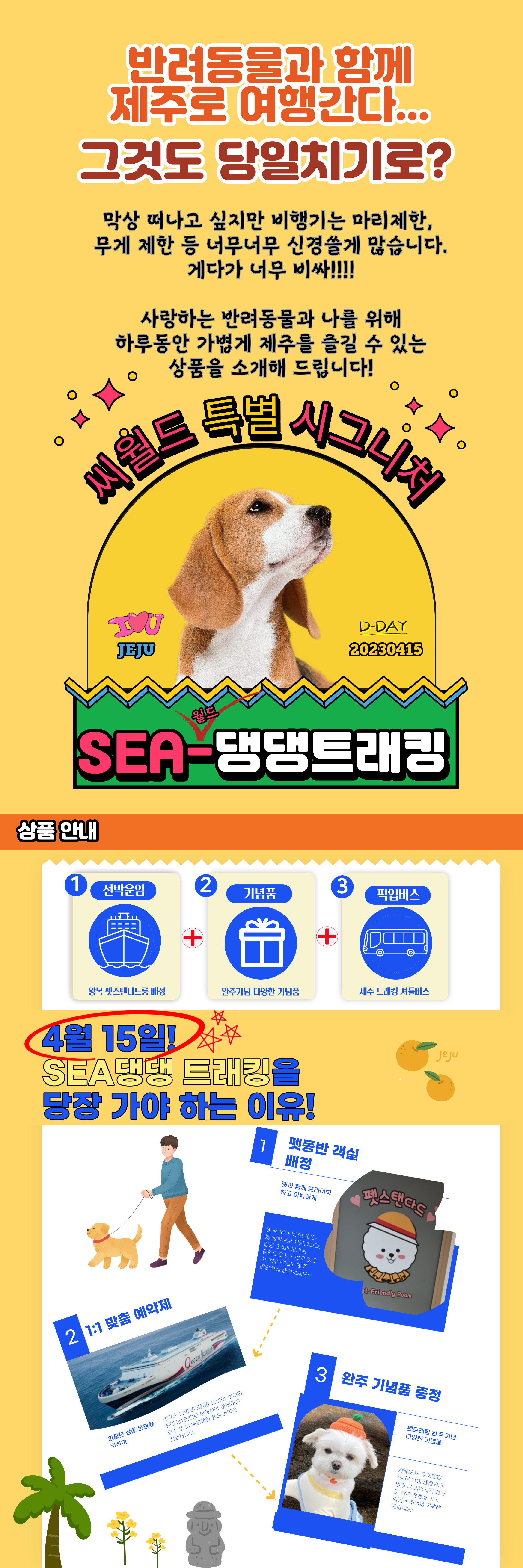 댕냥이와 떠는 제주 SEA-댕댕트레킹