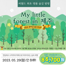 5월 씨월드 명품 숲길탐방 [ 숫모르 편백숲길 ]