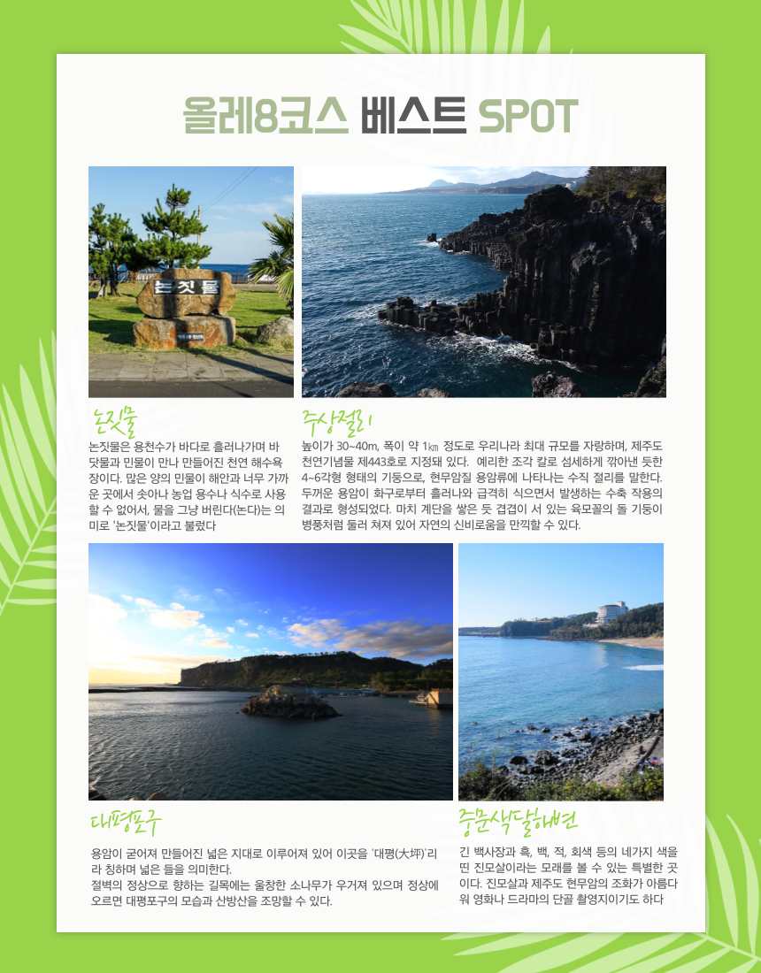 10월 시그니처 트레킹 (올레 8코스)