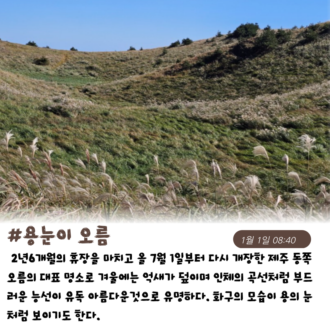 1월 1일 일출 기획 상품