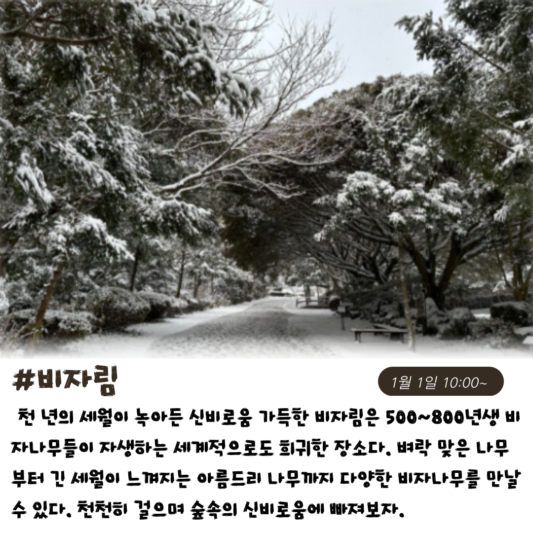 1월 1일 일출 기획 상품