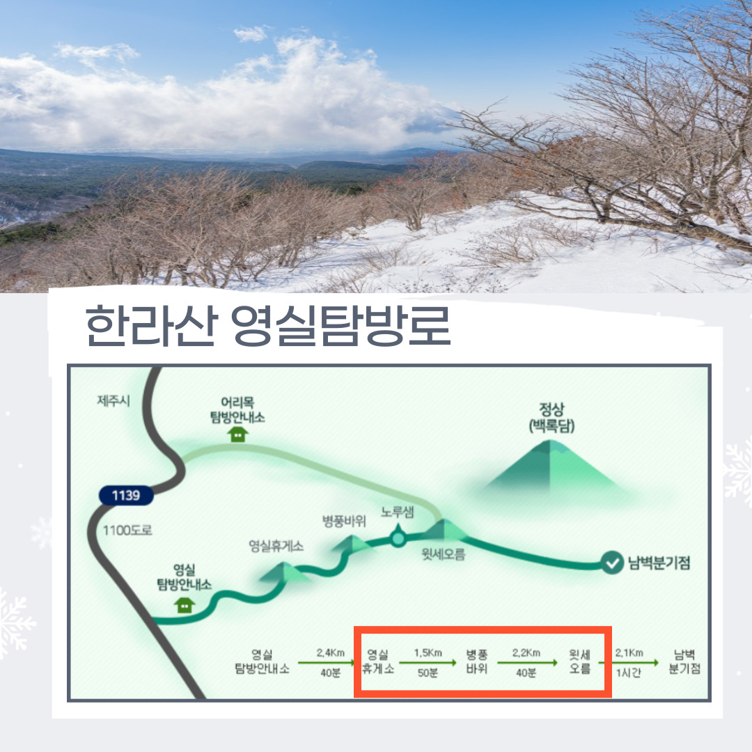 1월 시그니처 트레킹 한라산 눈꽃산행 - 영실탐방로