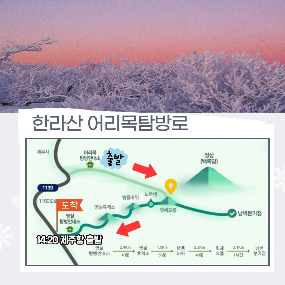 2월 시그니처 트레킹 한라산 눈꽃산행 - 어리목코스