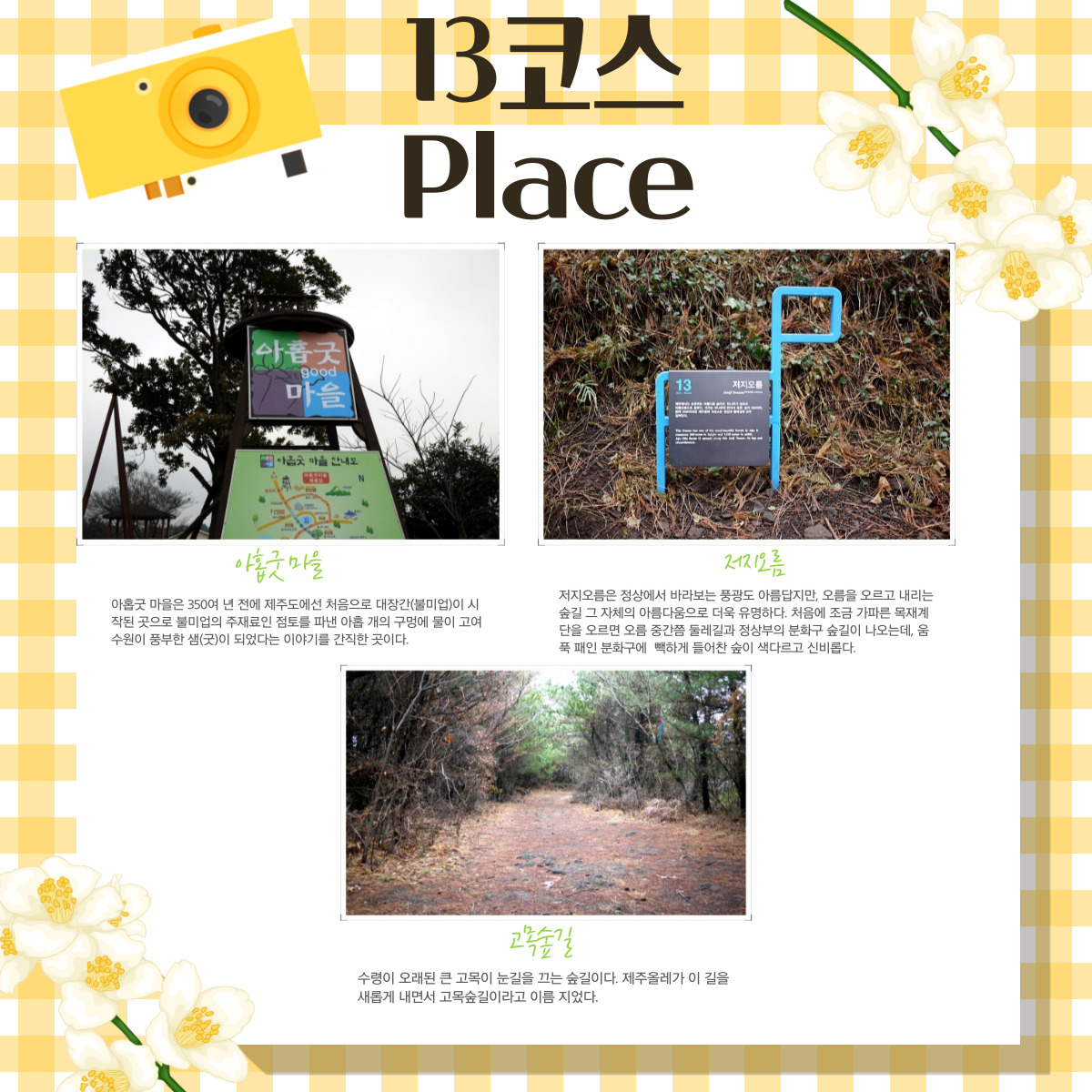 3월 시그니처 트레킹 올레 13코스