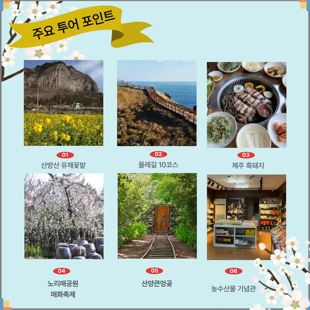 설날 당일패키지 「제주 나들이」