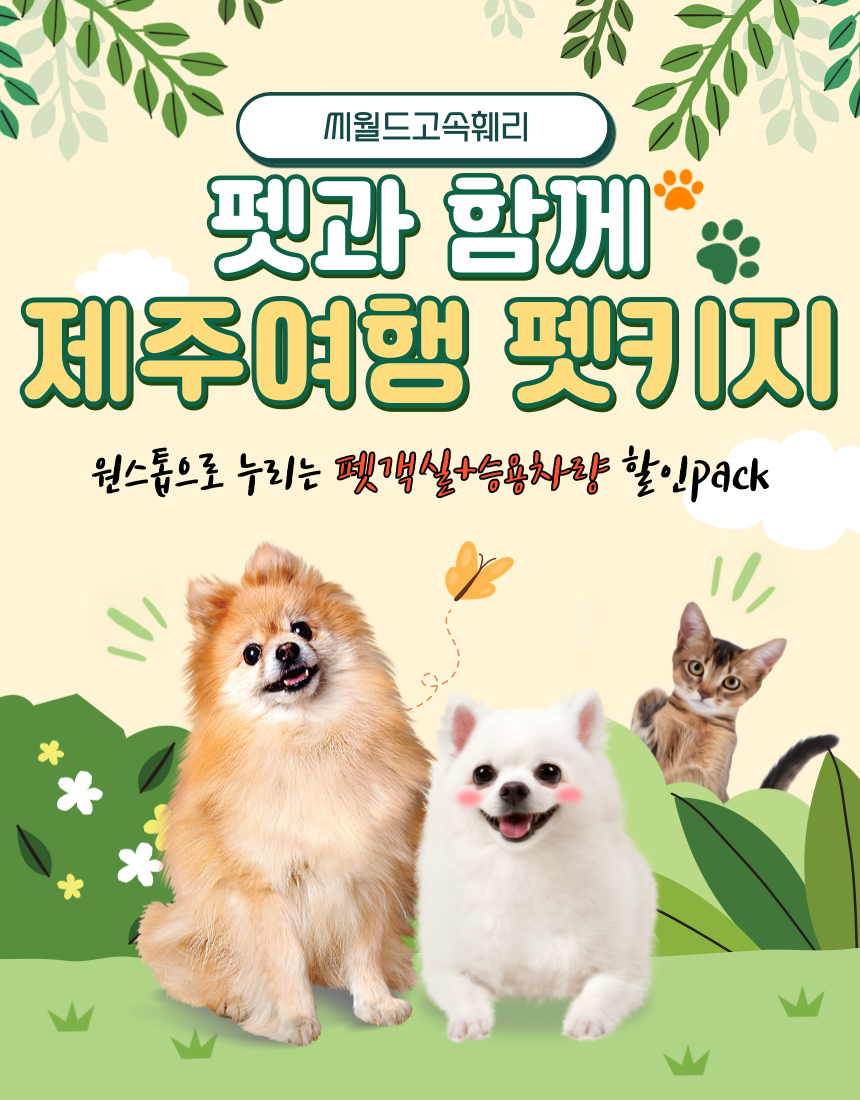 펫과 함께 제주여행 펫키지
