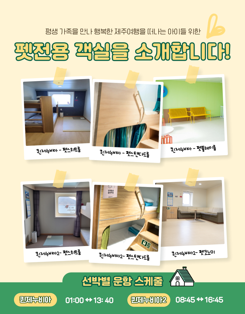 펫과 함께 제주여행 펫키지