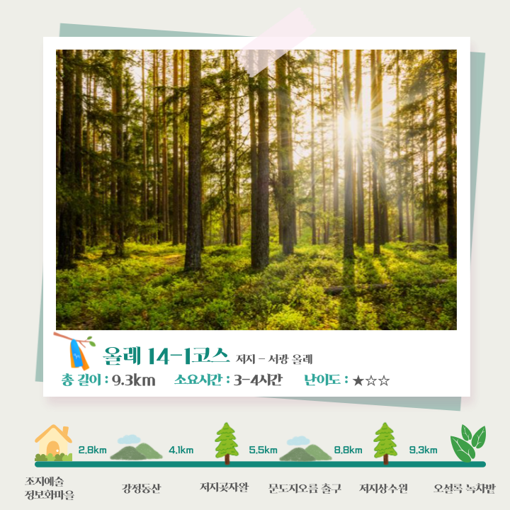 7월 13일 힐링숲트래킹