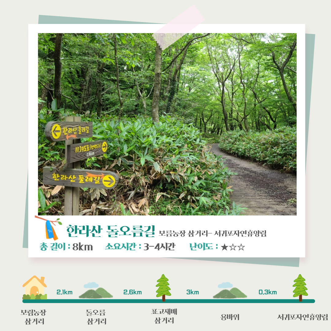 한라산(돌오름길)투어
