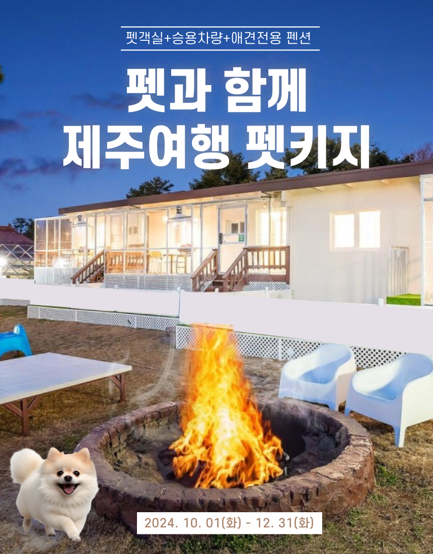 펫과 함께 제주여행 펫키지