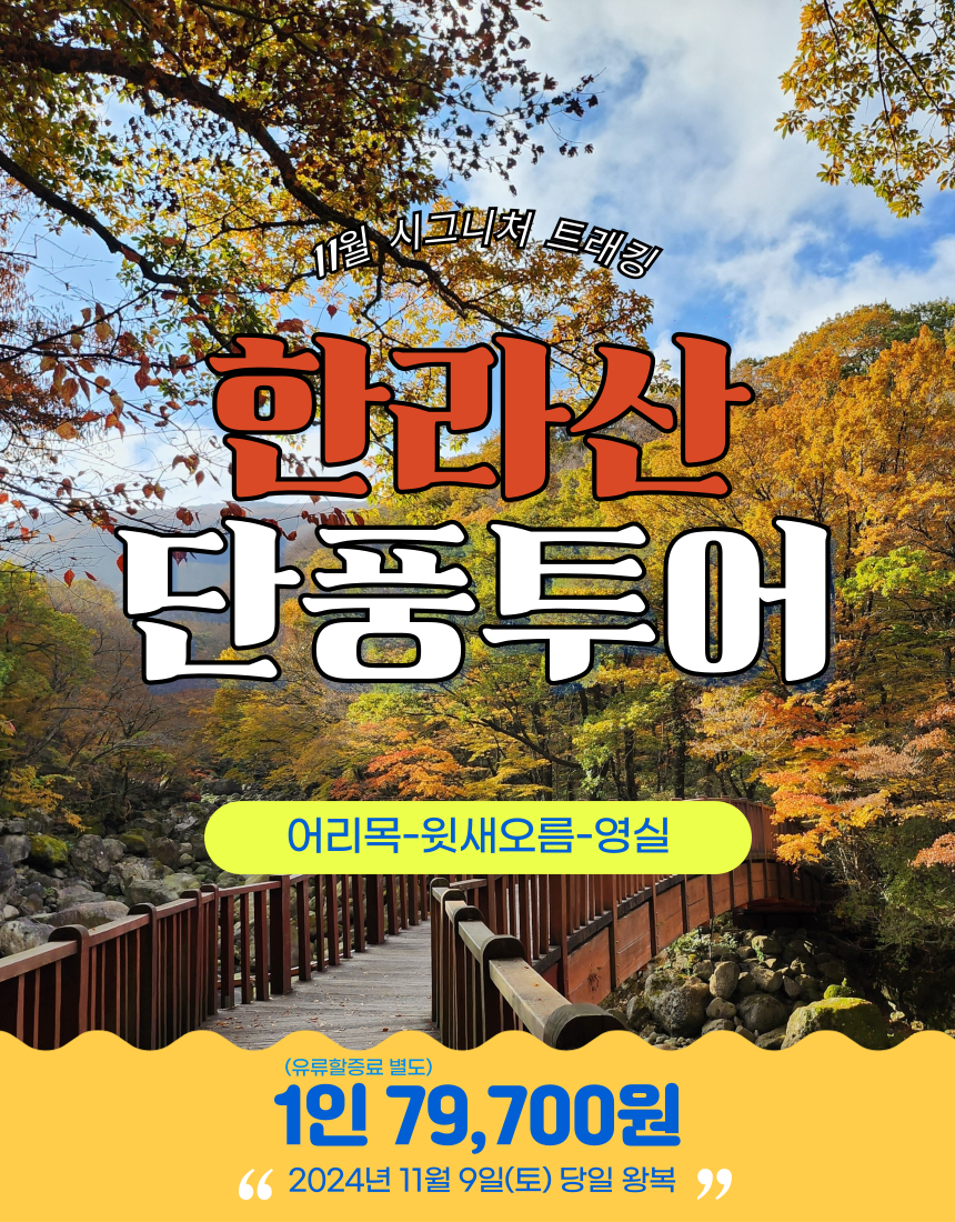 한라산 단풍투어