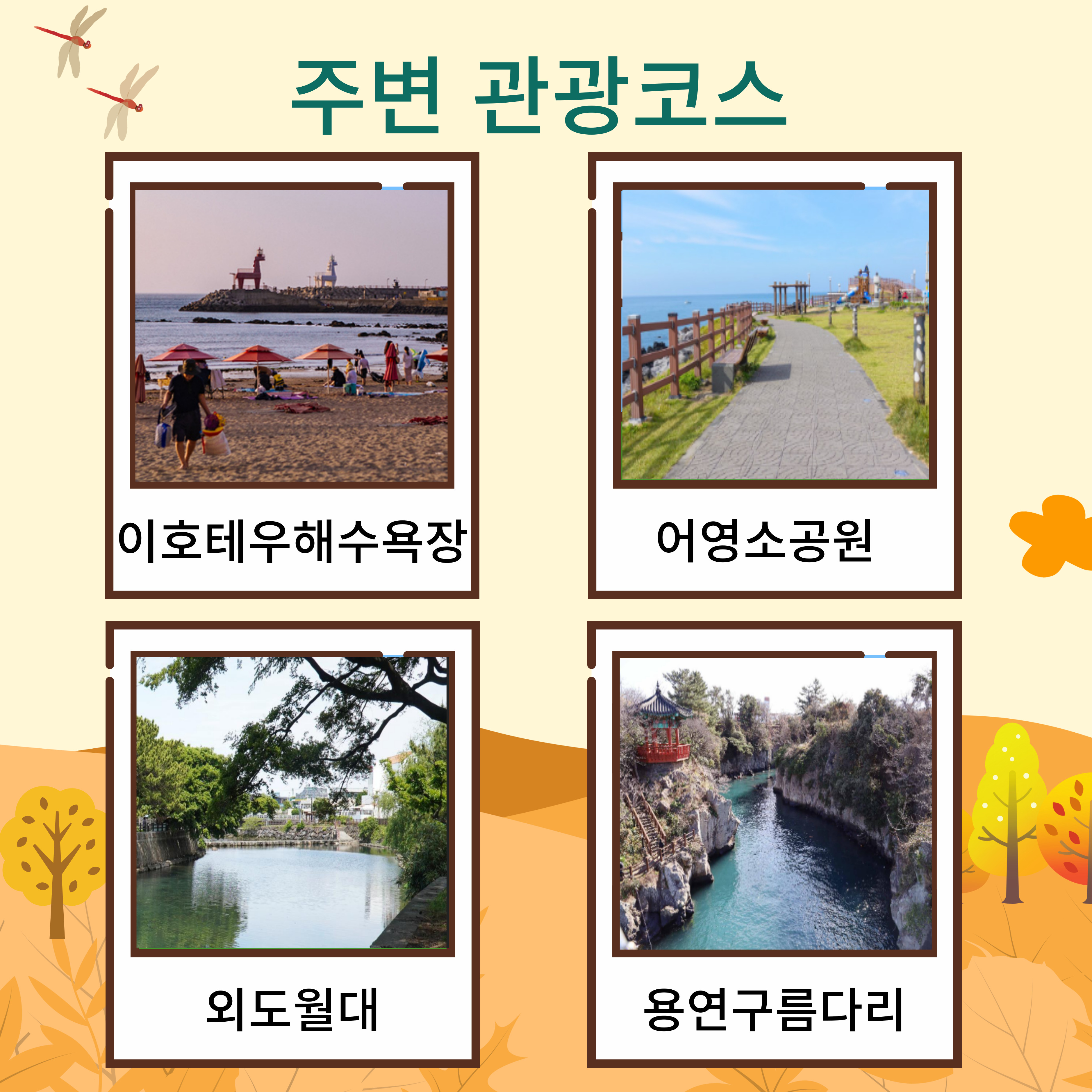 11월 시그니처 트래킹