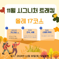 11월 시그니처 트래킹