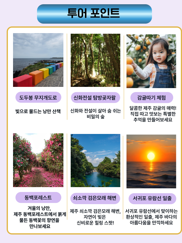 2025 해돋이 패키지