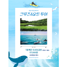 크루즈&요트 투어