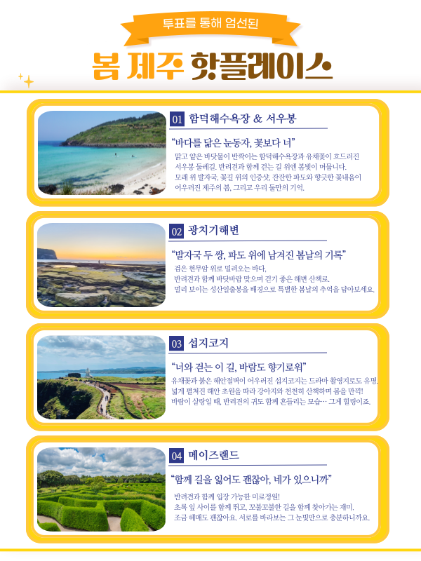 봄맞이 꽃길만 걷개