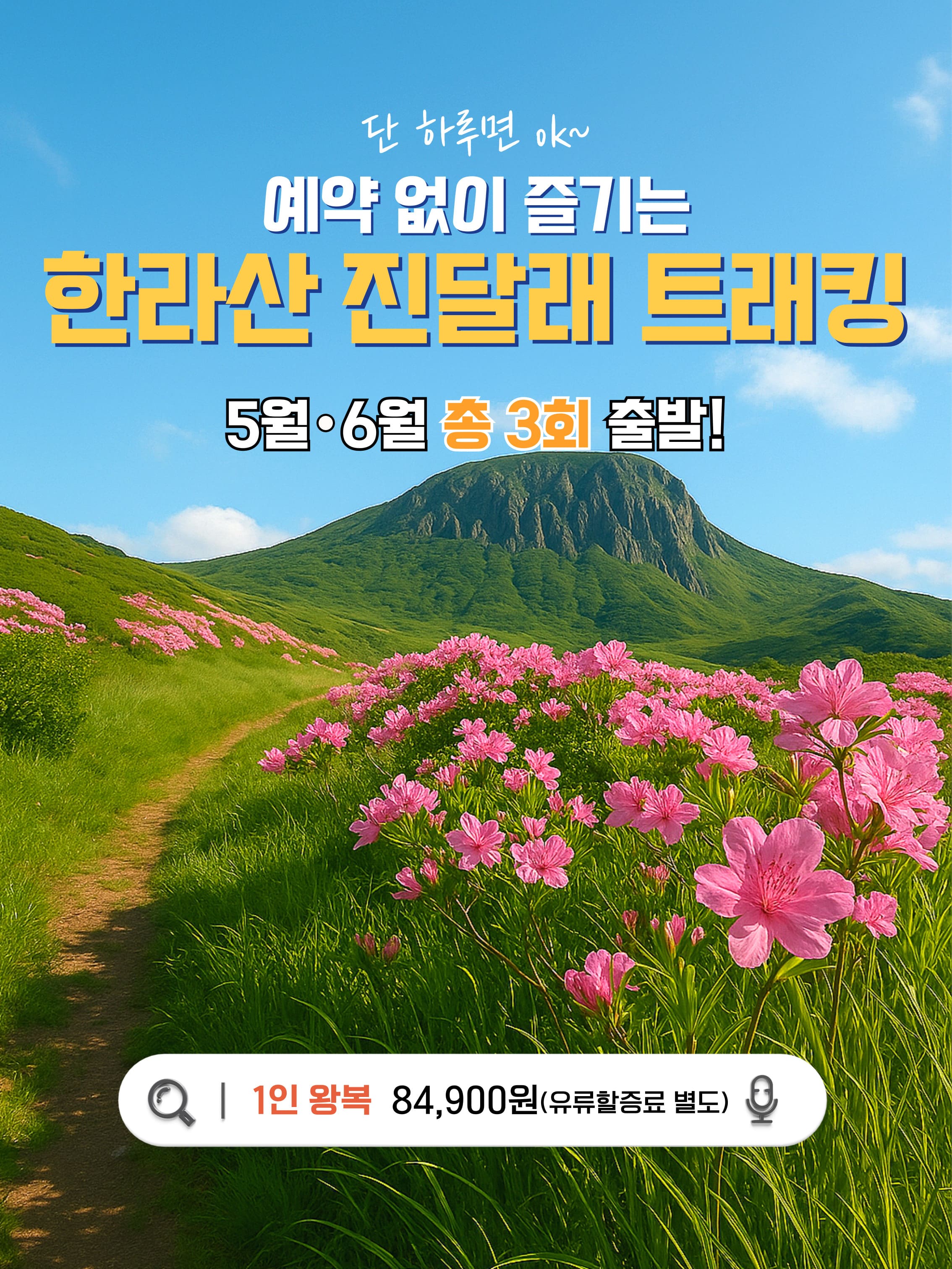 한라산 진달래 트래킹