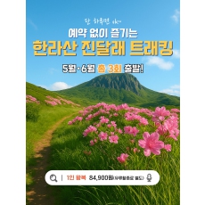 한라산 진달래 트래킹
