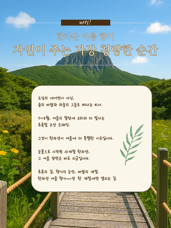 한라산 여름향기